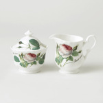 Redoute Rose Fine Bone China Tea Cup and Saucer | Roy Kirkham